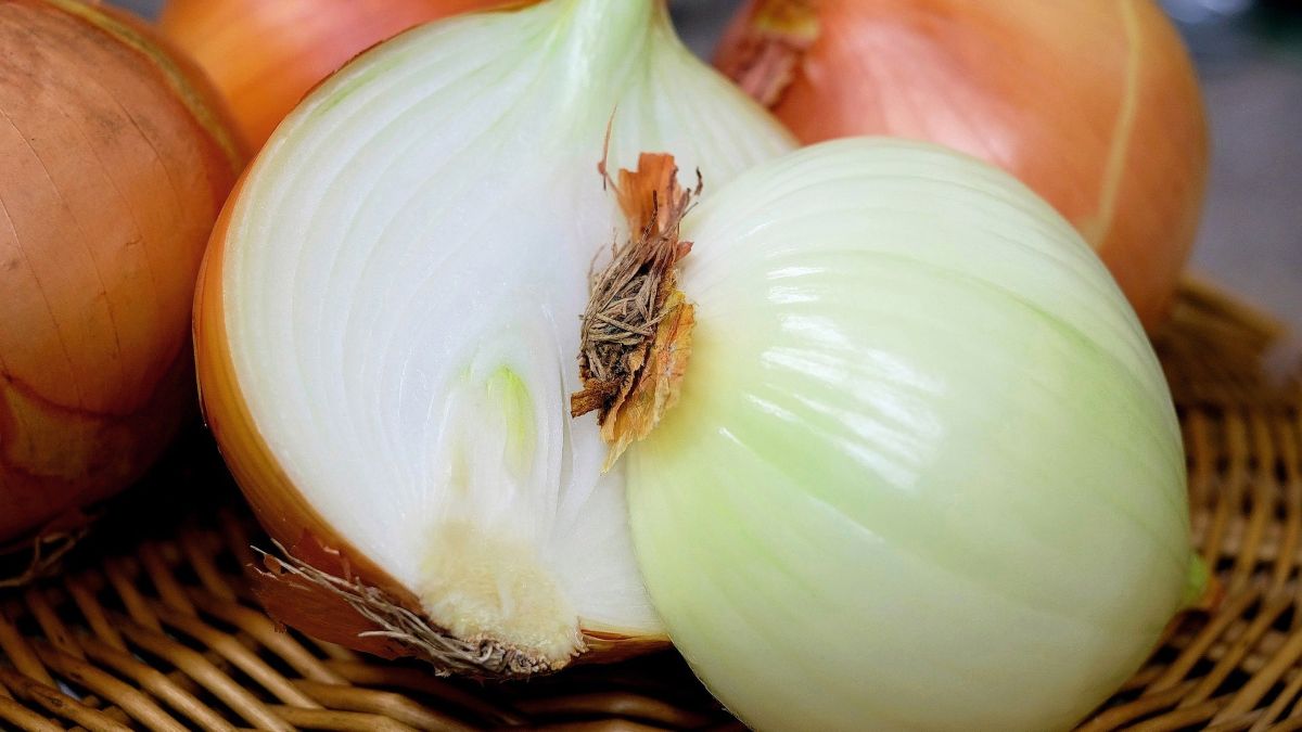 El ozono gaseoso mejora la conservación de las cebollas blancas con alta humedad.jpg